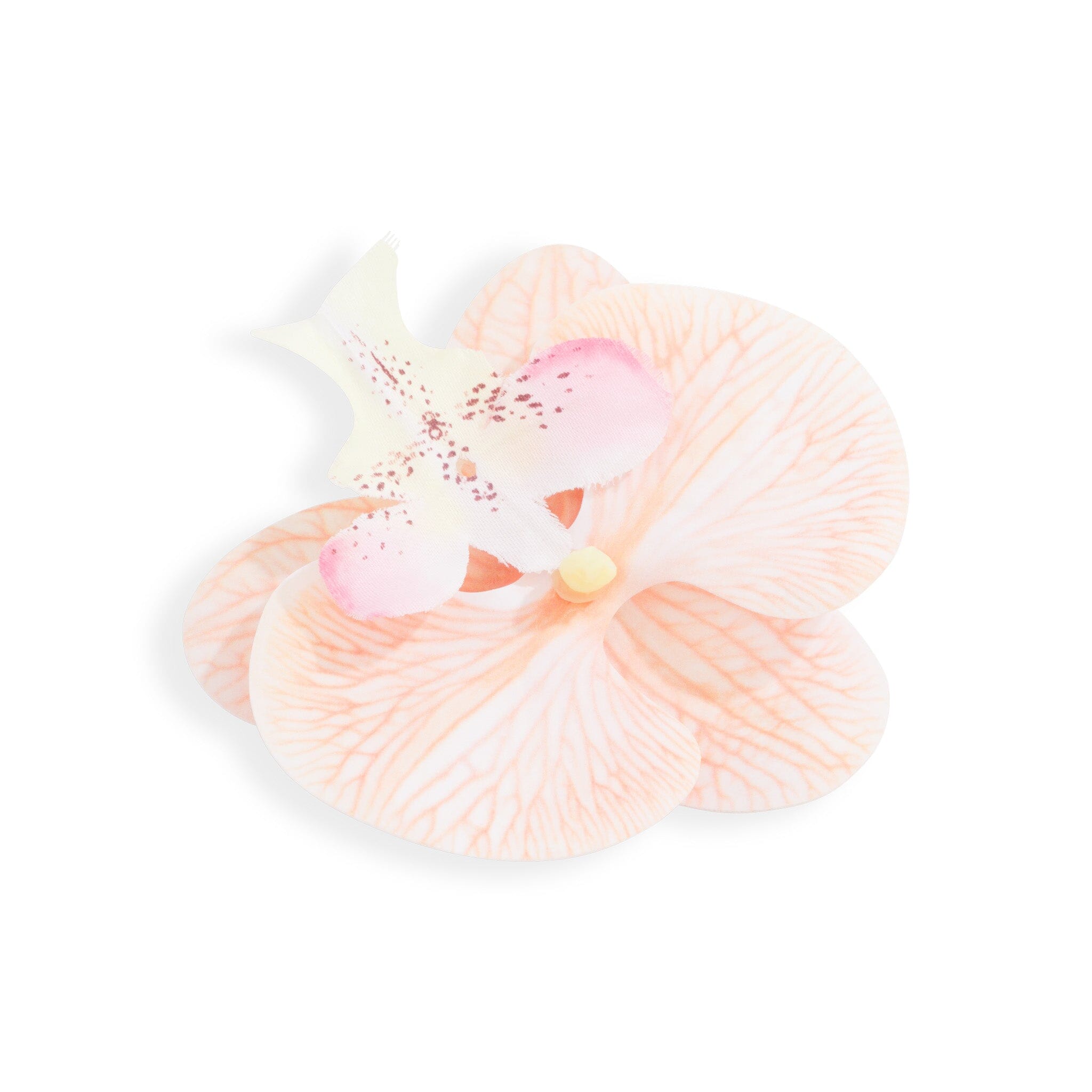 Orchid Flower Cream