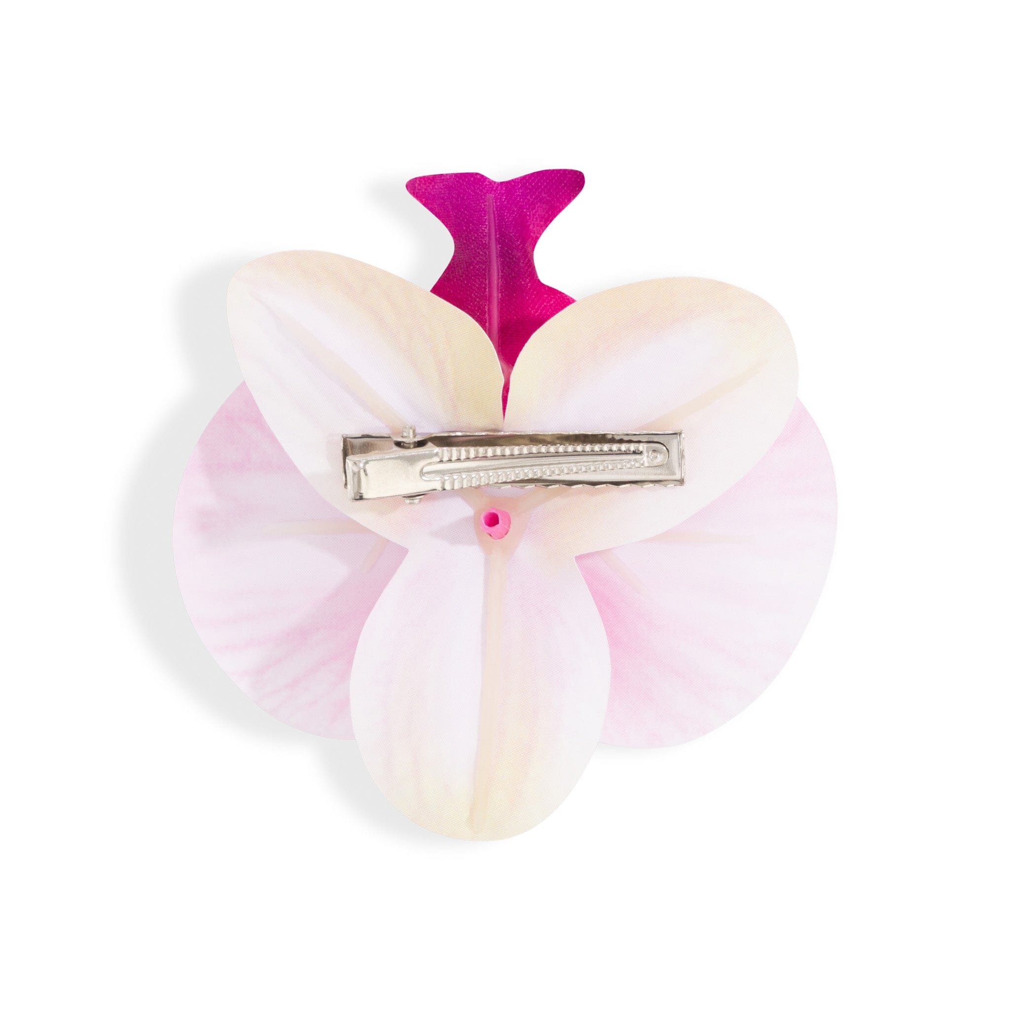Orchid Flower Pink